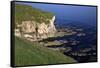 White Rocks, Portrush, County Antrim, Ulster, Northern Ireland, United Kingdom, Europe-Carsten Krieger-Framed Stretched Canvas