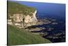 White Rocks, Portrush, County Antrim, Ulster, Northern Ireland, United Kingdom, Europe-Carsten Krieger-Stretched Canvas