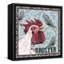 White Rooster I-Jade Reynolds-Framed Stretched Canvas