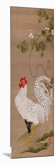 White Rooster-Jakuchu Ito-Mounted Giclee Print