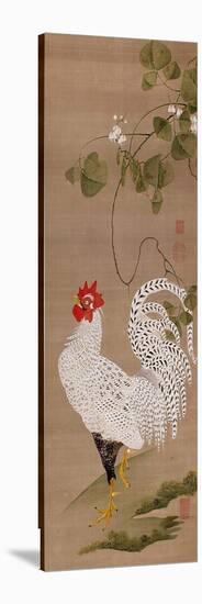 White Rooster-Jakuchu Ito-Stretched Canvas