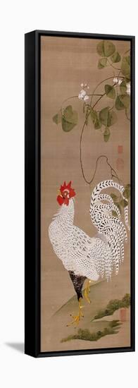 White Rooster-Jakuchu Ito-Framed Stretched Canvas