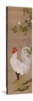 White Rooster-Jakuchu Ito-Stretched Canvas