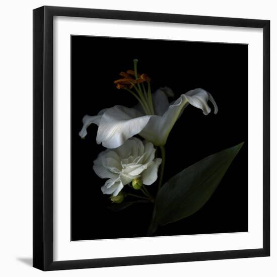 White Rose and White Lily-Magda Indigo-Framed Photographic Print