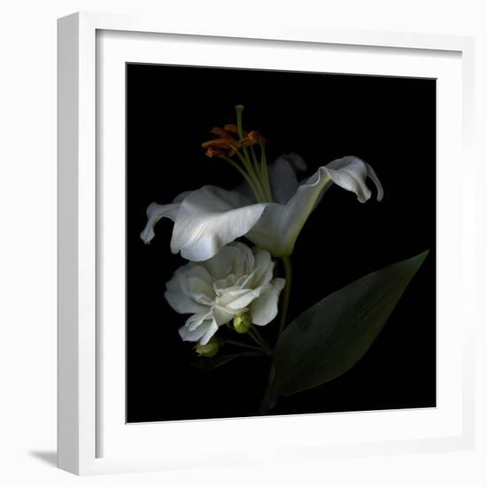 White Rose and White Lily-Magda Indigo-Framed Photographic Print