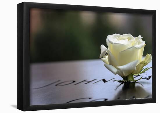 White Rose at September 11 Memorial-null-Framed Poster