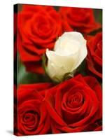 White rose between red roses-null-Stretched Canvas