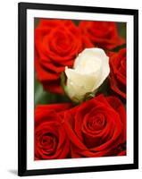 White rose between red roses-null-Framed Photographic Print