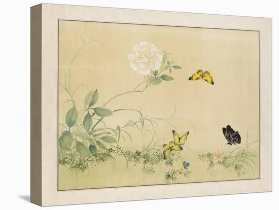 White Rose & Butterflies-null-Stretched Canvas