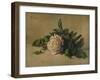 'White Rose', c1863, (1938)-Henri Fantin-Latour-Framed Giclee Print