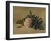 'White Rose', c1863, (1938)-Henri Fantin-Latour-Framed Giclee Print