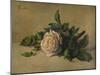 'White Rose', c1863, (1938)-Henri Fantin-Latour-Mounted Giclee Print