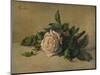 'White Rose', c1863, (1938)-Henri Fantin-Latour-Mounted Giclee Print