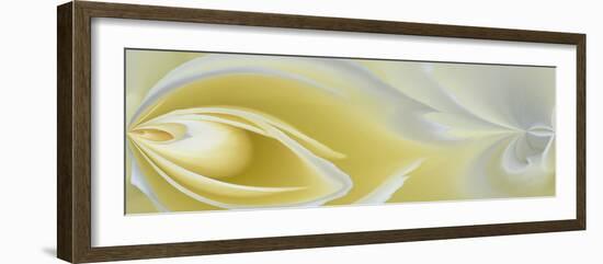 White Rose Close-Up-Adam Jones-Framed Photographic Print