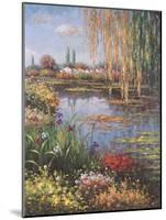 White Rose Garden-Horwich-Mounted Art Print