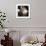 White Rose I-Malcolm Sanders-Framed Giclee Print displayed on a wall