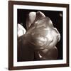 White Rose I-Malcolm Sanders-Framed Giclee Print