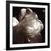 White Rose I-Malcolm Sanders-Framed Giclee Print