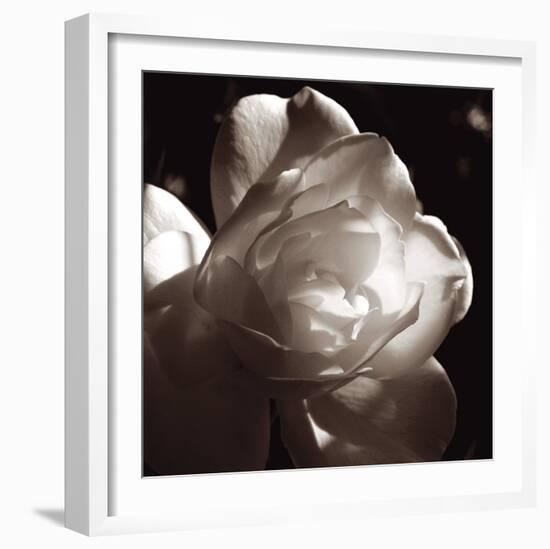 White Rose I-Malcolm Sanders-Framed Giclee Print