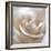 White Rose II-Monika Burkhart-Framed Photographic Print