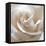 White Rose II-Monika Burkhart-Framed Stretched Canvas