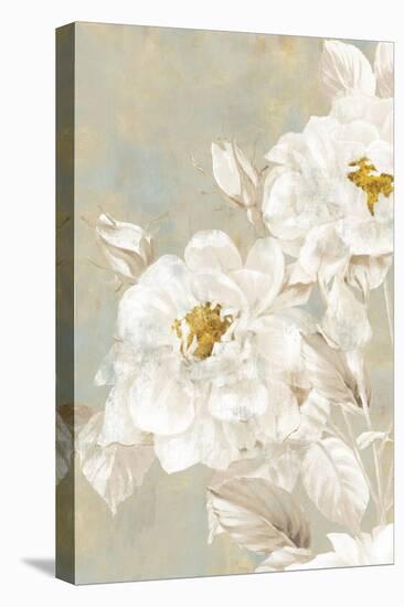 White Rose II-Eva Watts-Stretched Canvas