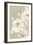 White Rose II-Eva Watts-Framed Art Print