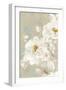 White Rose II-Eva Watts-Framed Art Print