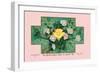 White Rose Soap-null-Framed Art Print