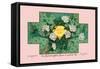 White Rose Soap-null-Framed Stretched Canvas