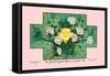 White Rose Soap-null-Framed Stretched Canvas