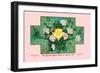 White Rose Soap-null-Framed Art Print