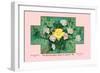 White Rose Soap-null-Framed Art Print