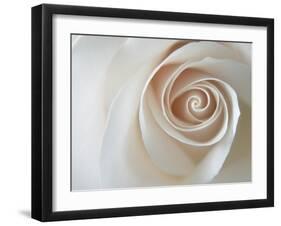 White Rose Swirl-Karen Ussery-Framed Giclee Print