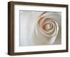 White Rose Swirl-Karen Ussery-Framed Giclee Print