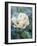 White Rose with Ice Crystals-Elke Borkowski-Framed Photographic Print