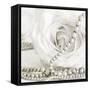 White Rose with Pearls-Tom Quartermaine-Framed Stretched Canvas