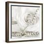 White Rose with Pearls-Tom Quartermaine-Framed Giclee Print