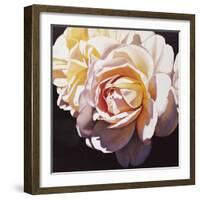 White Rose-Jennifer Harmes-Framed Giclee Print