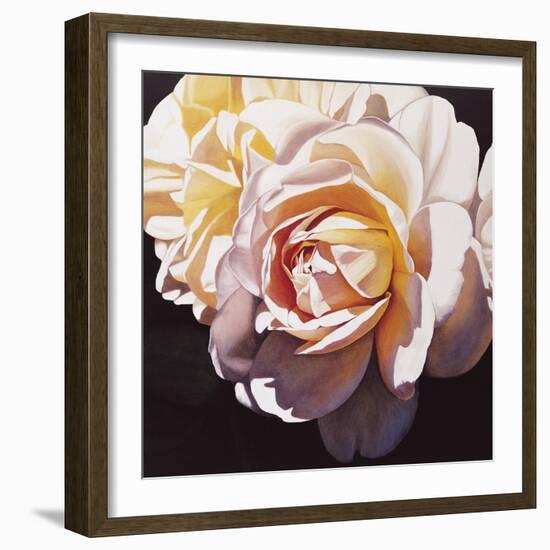 White Rose-Jennifer Harmes-Framed Giclee Print