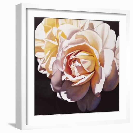 White Rose-Jennifer Harmes-Framed Giclee Print