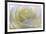 White Rose-null-Framed Photographic Print