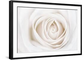 White Rose-Cora Niele-Framed Photographic Print