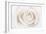 White Rose-Cora Niele-Framed Photographic Print