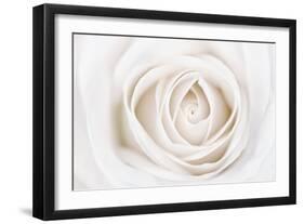 White Rose-Cora Niele-Framed Premium Photographic Print