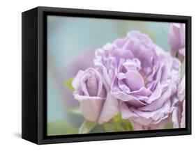 white rose-Viviane Fedieu Danielle-Framed Stretched Canvas