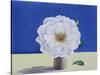White Rose-Christopher Ryland-Stretched Canvas