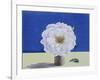 White Rose-Christopher Ryland-Framed Giclee Print