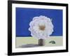 White Rose-Christopher Ryland-Framed Giclee Print