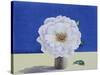 White Rose-Christopher Ryland-Stretched Canvas